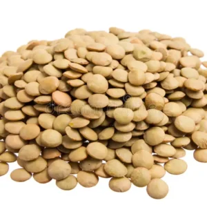 Lentilha Canadense