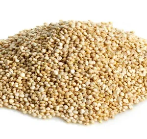 Quinoa