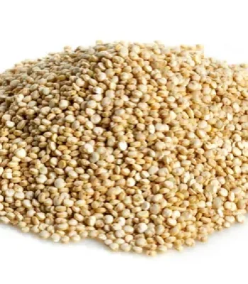 Quinoa